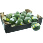 BIO AVOCAT HASS BANDEAU 16PCS